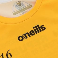 Antrim Player Fit 1916 Remastered Jersey -Sports Equipment Discount Store antrim 1916 commemoration jersey pf 6