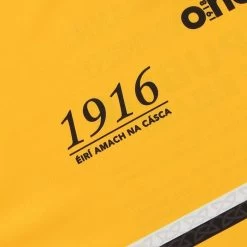 Antrim Player Fit 1916 Remastered Jersey -Sports Equipment Discount Store antrim 1916 commemoration jersey pf 7