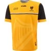 Antrim Kids' 1916 Remastered Jersey -Sports Equipment Discount Store antrim cf 1916 commemoration jersey 2021 1 1