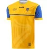 Clare Player Fit 1916 Remastered Jersey -Sports Equipment Discount Store clare 1916 commemoration jersey pf 1