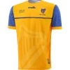 Clare Kids' 1916 Remastered Jersey -Sports Equipment Discount Store clare cf 1916 commemoration jersey 2021 1 1