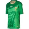 1916 Commemoration Kids' Jersey -Sports Equipment Discount Store green 1916 jersey kids 1