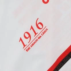 Tyrone 1916 Remastered Jersey -Sports Equipment Discount Store tyrone 1916 commemoration jersey pf 11 1