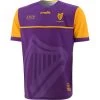 Wexford Kids' 1916 Remastered Jersey -Sports Equipment Discount Store wexford 1916 commemoration jersey 2021 cf 1 1